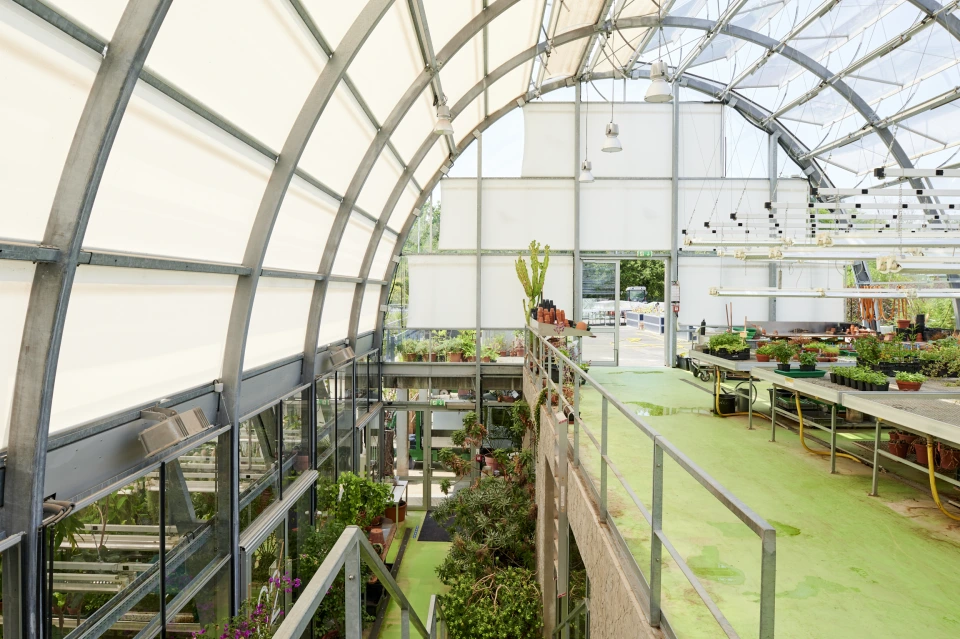 Innenaufnahme Gewächshaus