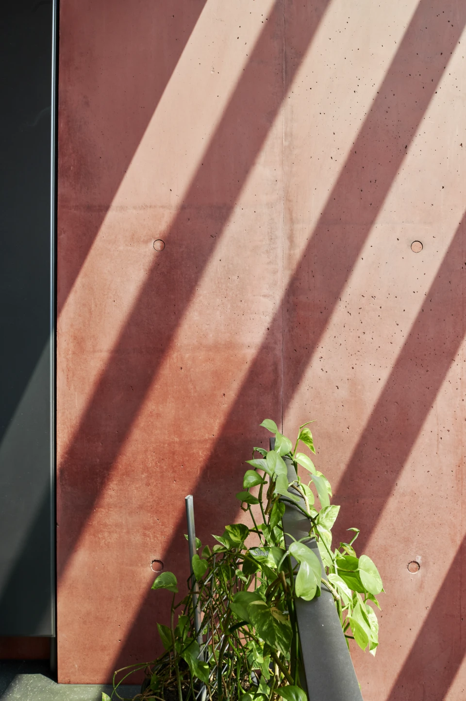 Materialstudie Biologicum