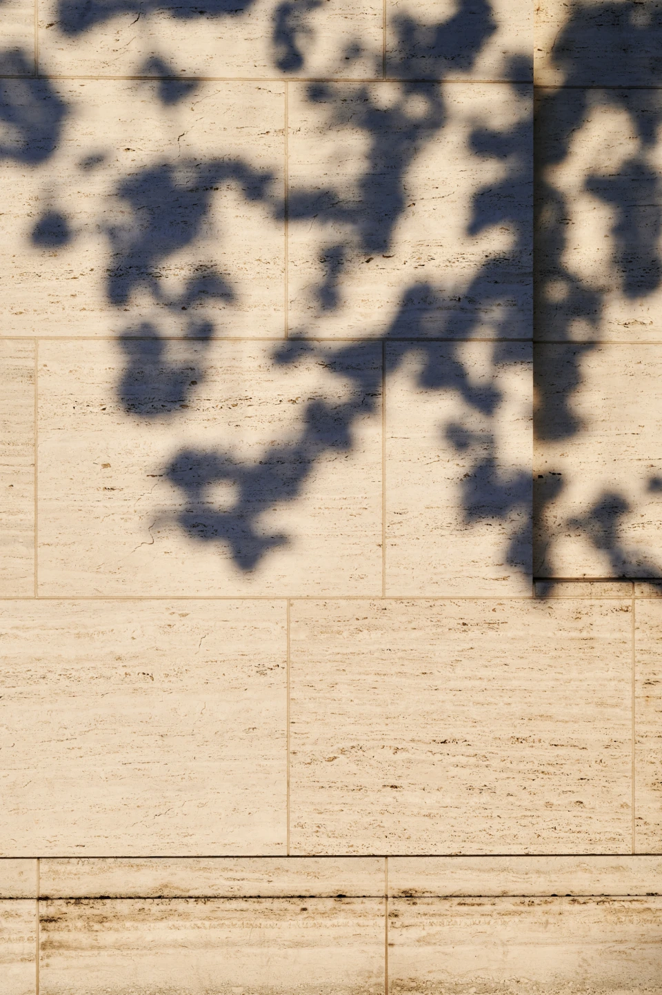 Detail Baumschatten auf Travertin