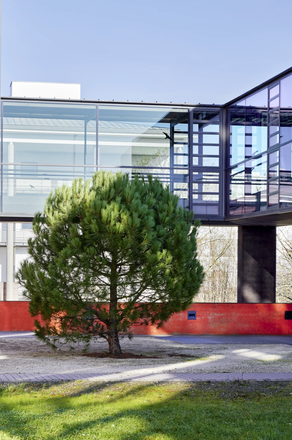 Glasbrücke Biologicum