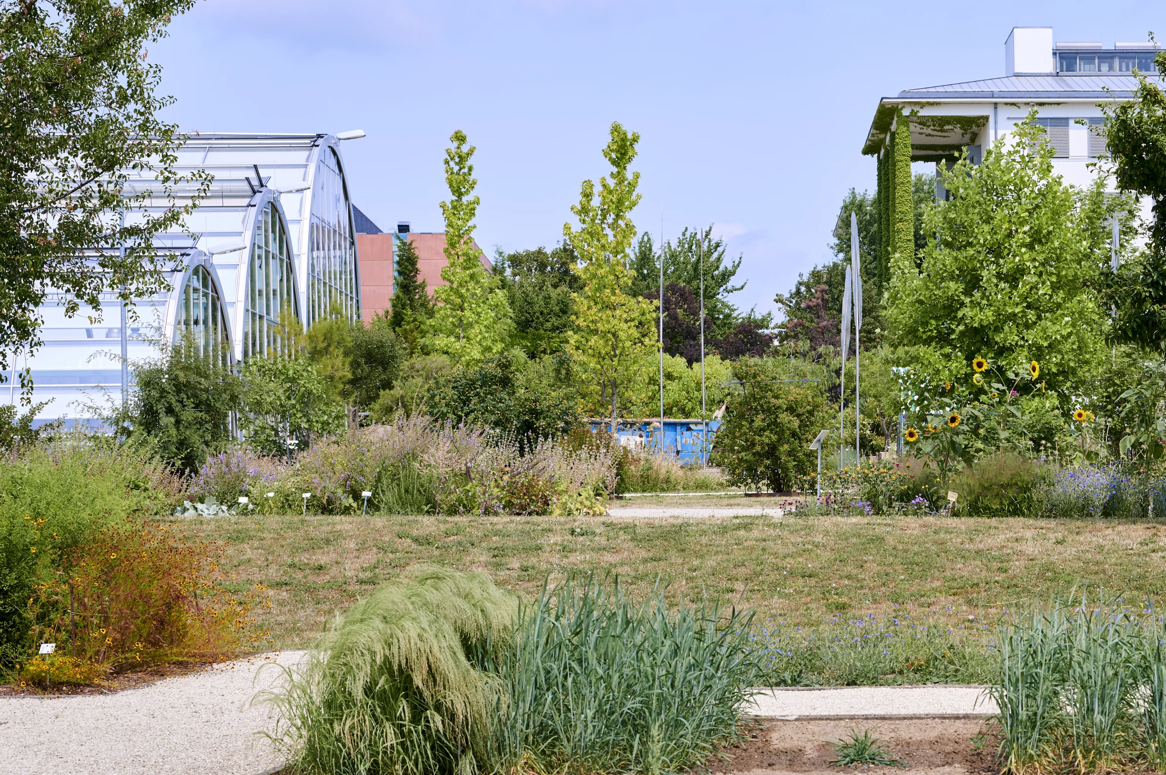 Wissenschaftsgarten mit Gewächshaus