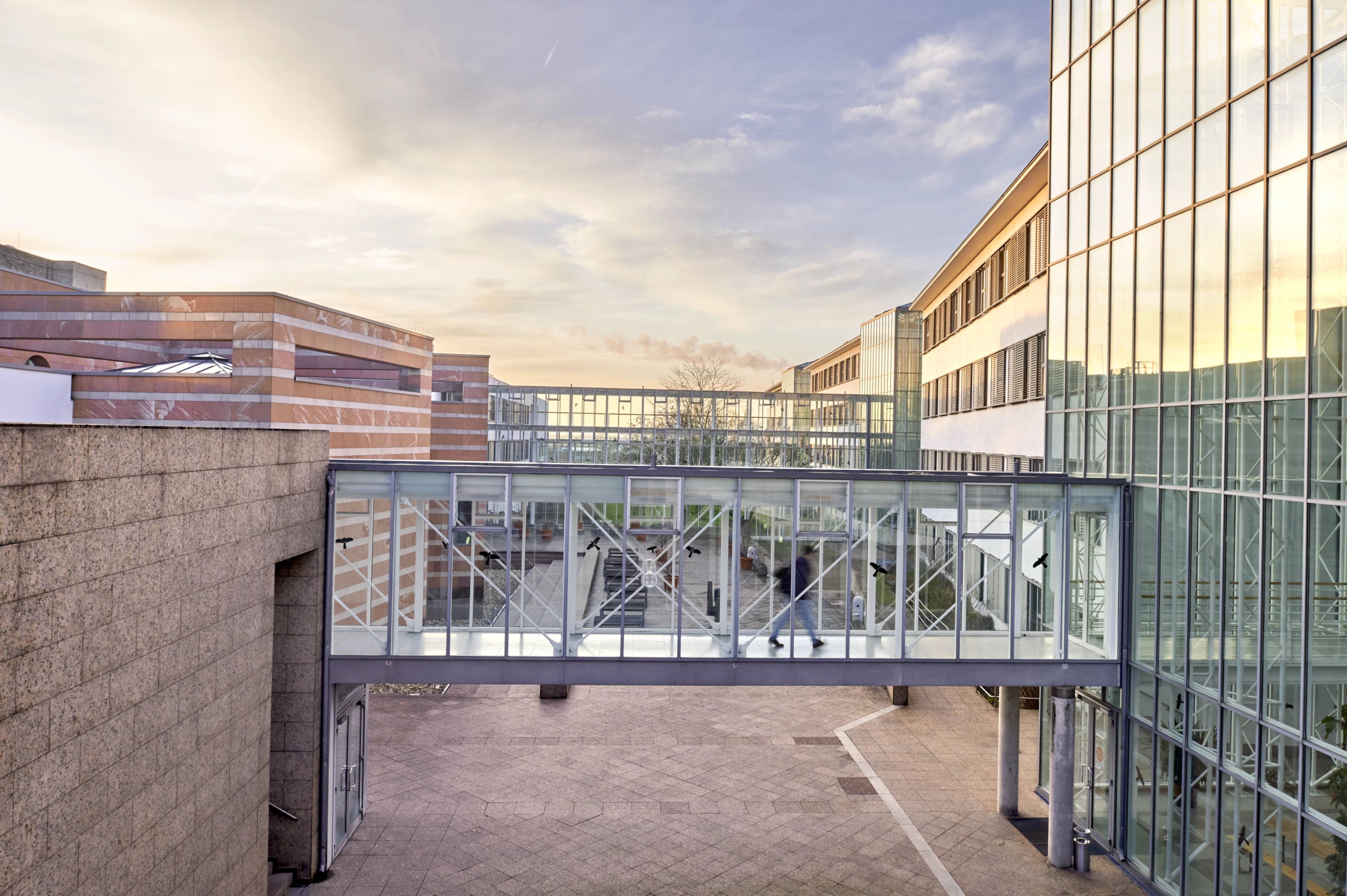 Architekturfotografie Brücke Biozentrum