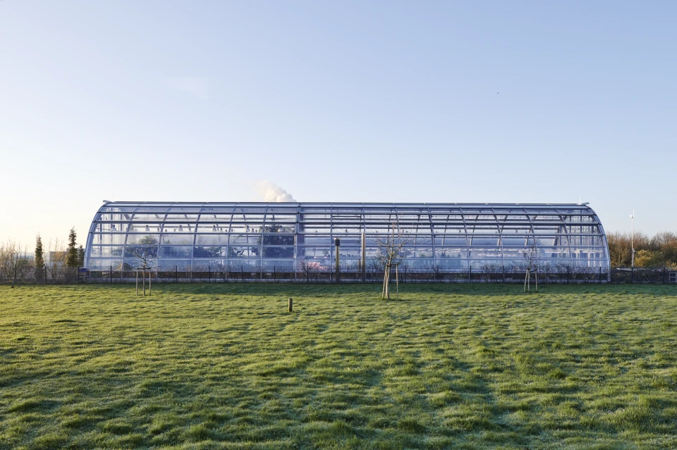 Gewächshaushalle Wissenschaftsgarten