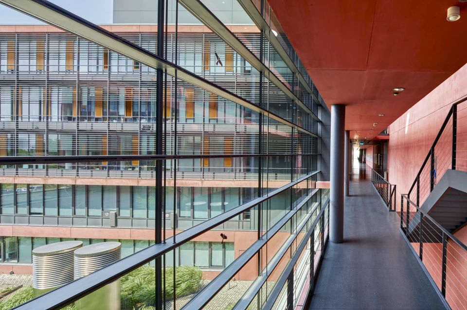 Flure Biologicum Campus Riedberg